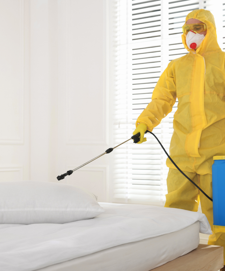 Professional Pest Control Team in North Adelaide